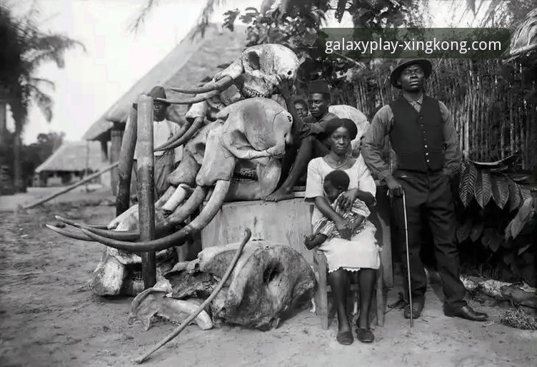 3个关键瞬间与1个历史性突破：深度复盘民主刚果52年世界杯回归之路